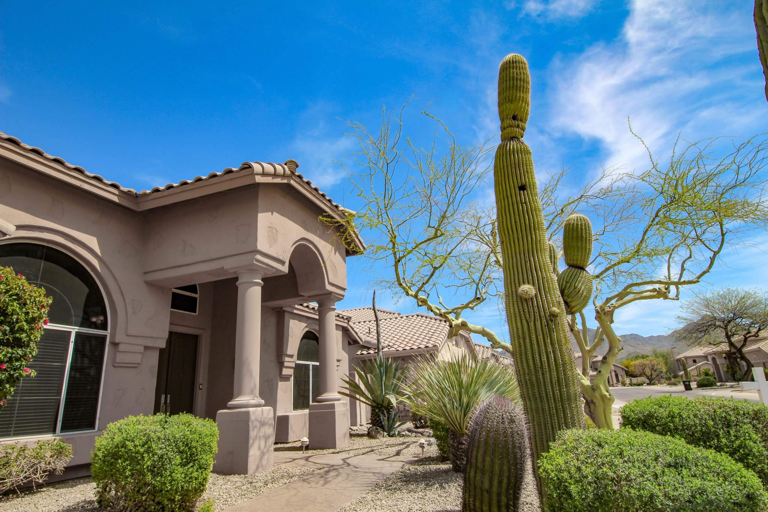 Home and cactus in Tucson, AZ