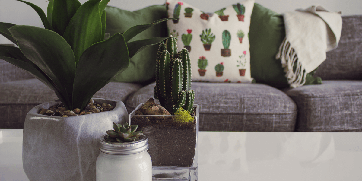 home decor | Home Look Luxurious