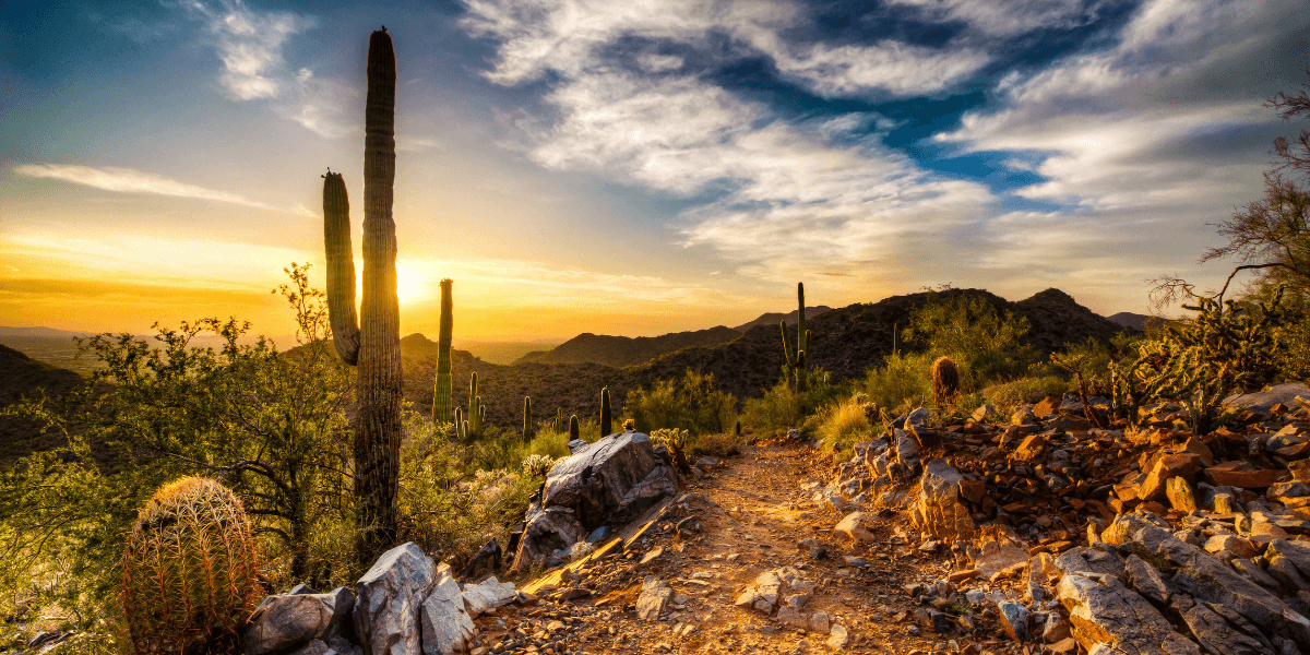 Arizona desert landscape | Moving to Arizona