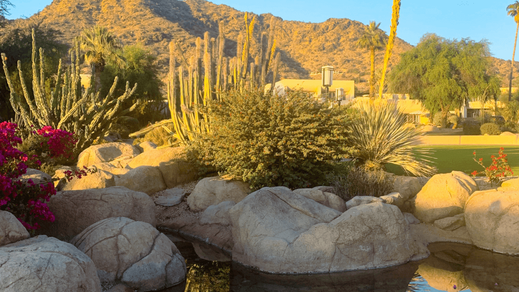 Tucson Homes For Rent Bancroft Rental Properties AZ Tucson Homes